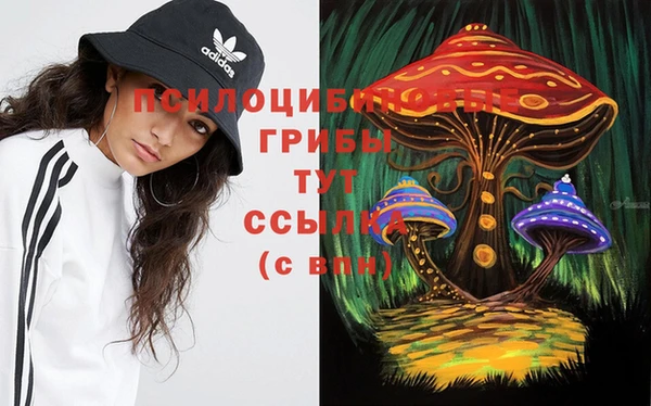 эйфоретик Алексин