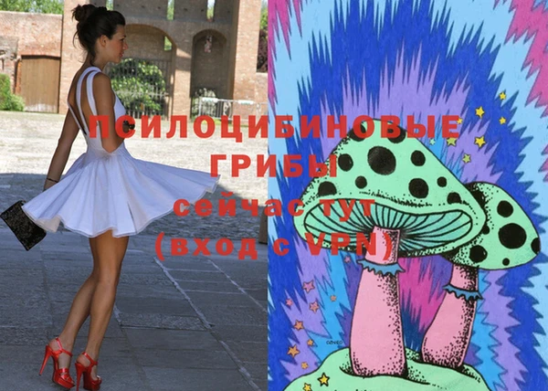 ECSTASY Алексеевка