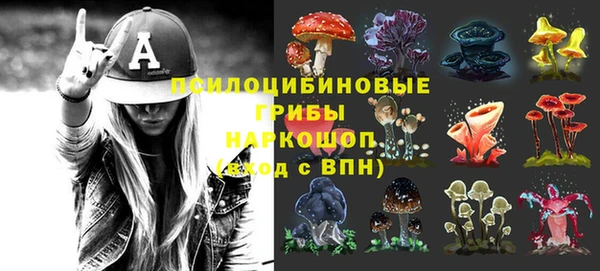 эйфоретик Алексин