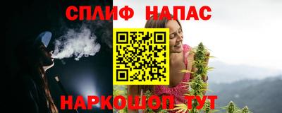 крисы Нальчик