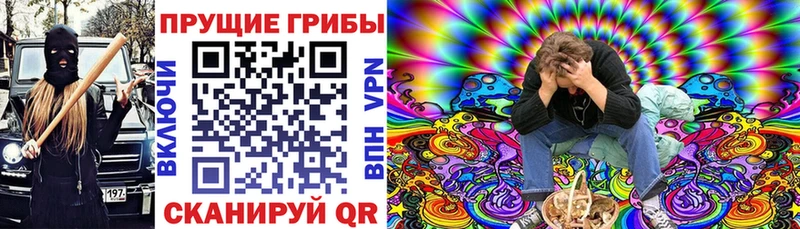 Галлюциногенные грибы Psilocybe  OMG ТОР  Белореченск 