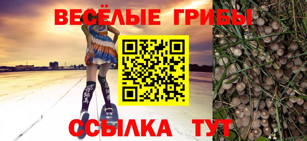 Галлюциногенные грибы прущие грибы  Вход с VPN  Белореченск 